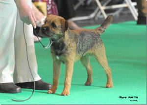 echocrufts2012.jpg